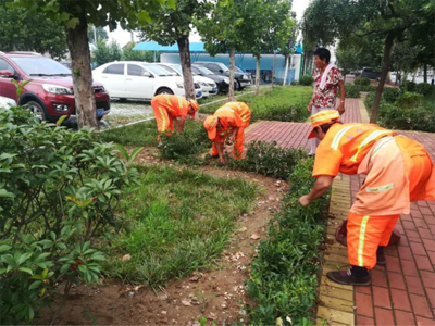 曹范街道--深入推进城镇提升,助力幸福宜居家园建设